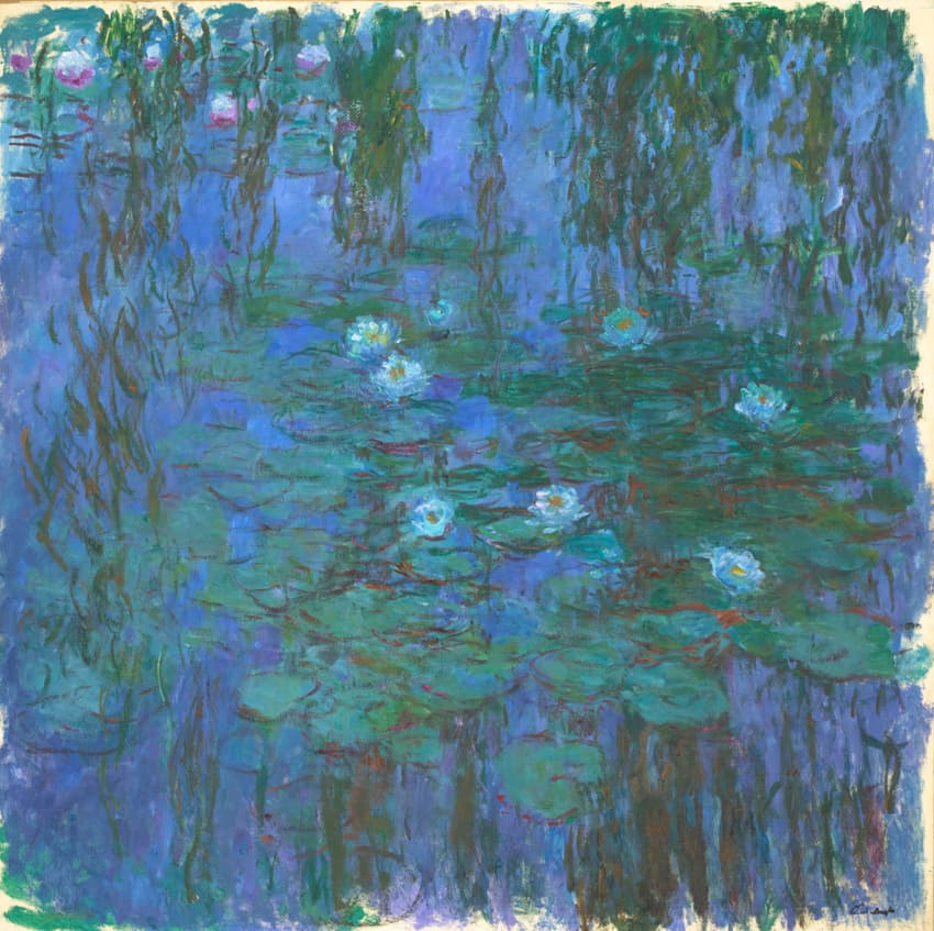 Water Lilies