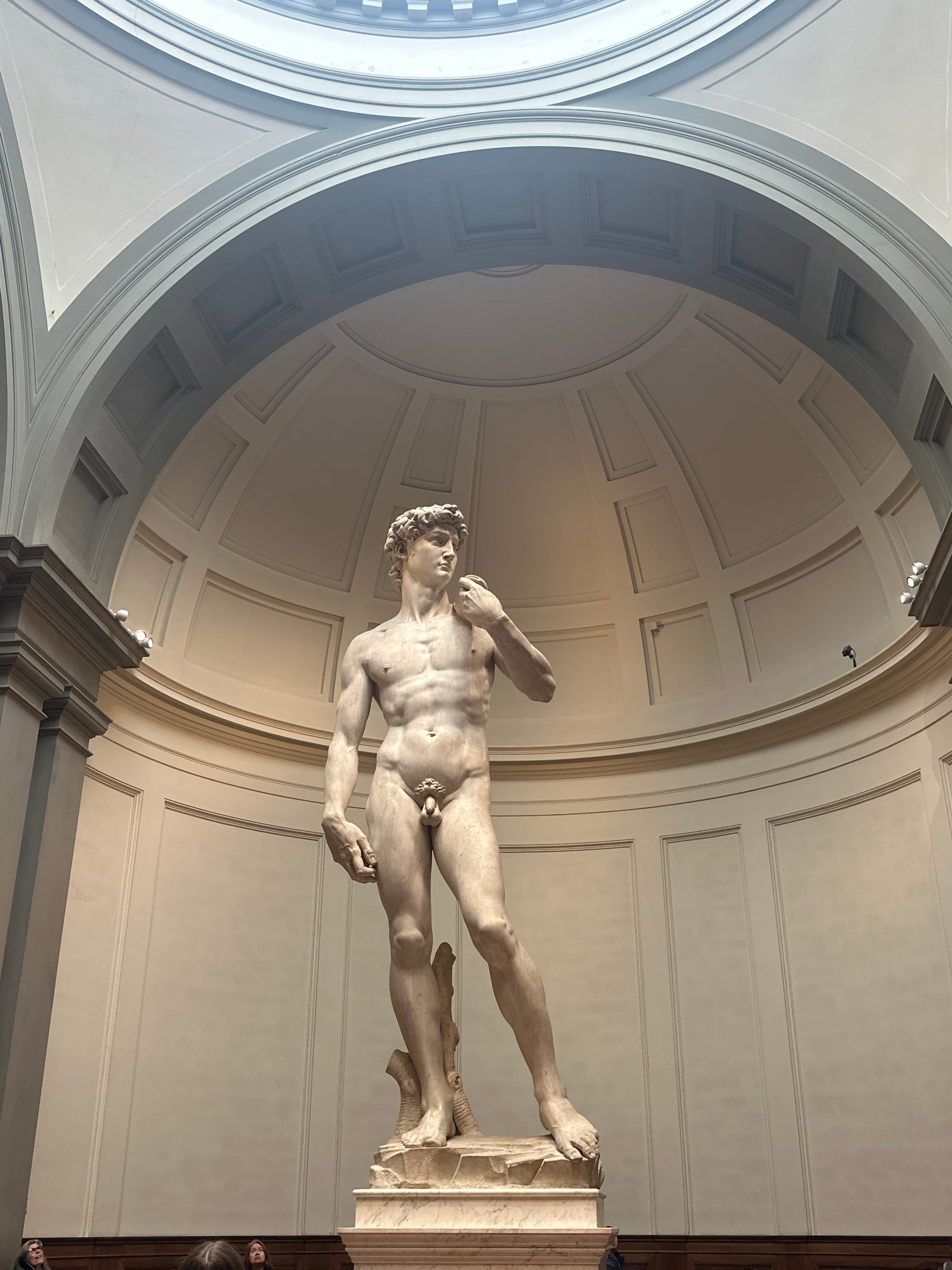 Michelangelo’s David
